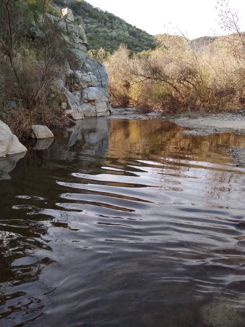 Ripple water with rock to the left and trees in the foreground