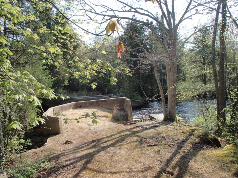 Westecunk Creek Barrier Removal: Pre-Construction