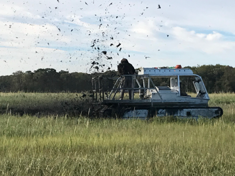 FWS staff using what looks like an atv with tank treads to cut through the marsh and carve the earth to create runnels. 