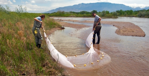 Rio Grande Monitoring