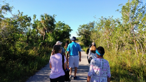 An image of visitors hiking.