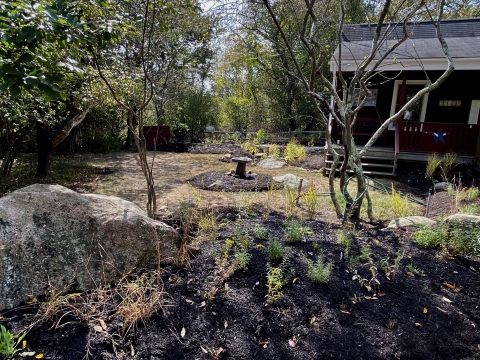 Trustom Pond Native Plant Garden