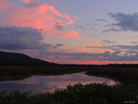 Wallkill River NWR Sunset