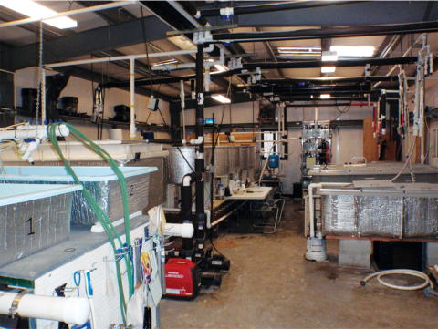 Multiple tanks inside of an industrial building. 