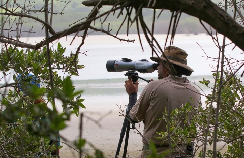 Bird watching with a close-up lensed telescope on a tripod