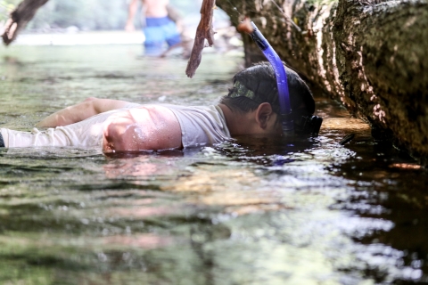 In profile, a partially submerged snorkeler looks into the water underneath a fallen tree.