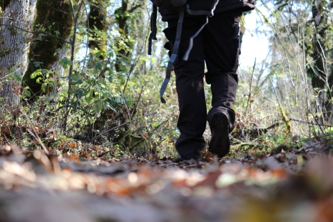 View of trail at foot level of leaves and a walker's boots on the trail