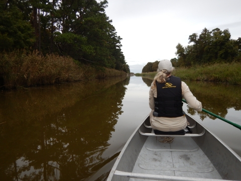 A woman in a canoe paddles down a grass- and tree-lined canal