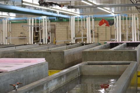 Garrison Dam tank room