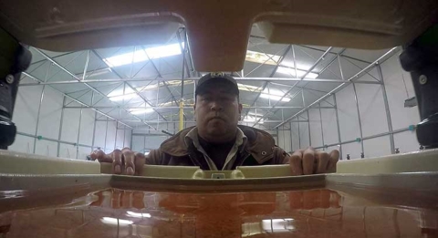 A hatchery caretaker looks at a white tray filled with orange trout eggs