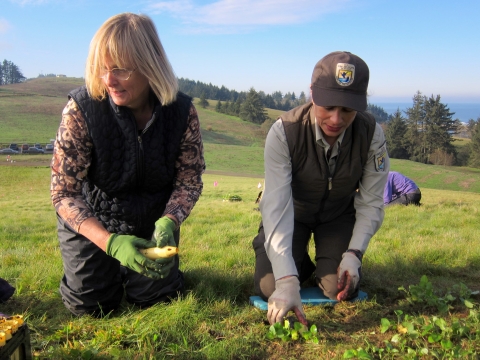 A refuge employee in uniform works to restore native habitat