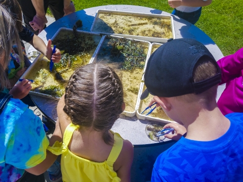 Environmental education summer school students work on a project at Modoc NWR.