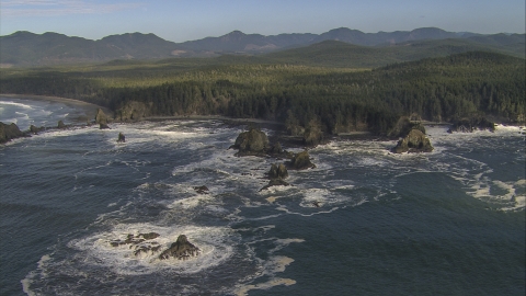 Point of Arches on Washington's Rugged Coast