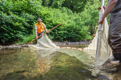 Two people stand in a stream, one at either end of a seine net