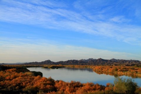 The lower Colorado River flowing through Cibola NWR.