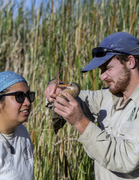 a woman watches a man inspect a bird