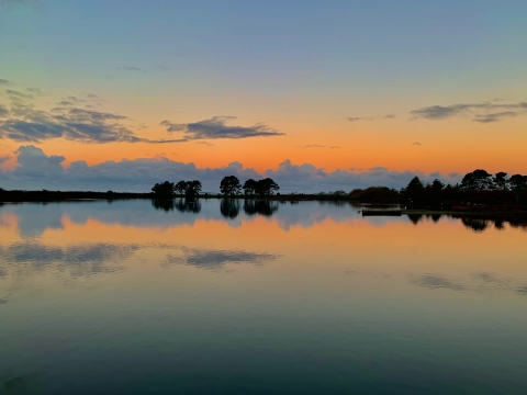 Photo of the Arcata Marsh