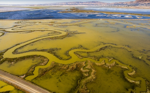 Aerial view of what looks like snaking river bed along the coast.