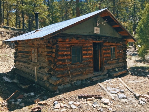 Historic log cabin surrounded by pine trees