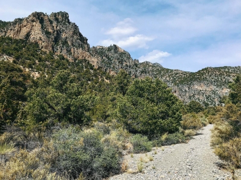 Desert canyon with small plants growing alongside a trail