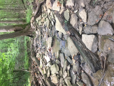 Oak Glen Nature Preserve, Hamilton County, Ohio