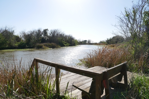 Honeysuckle Trail fishing deck surrounded by vegetation along East Bay Bayou