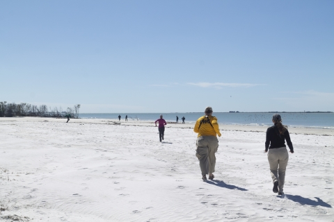 a group of eight people run towards a distant location on the shoreline of a beach