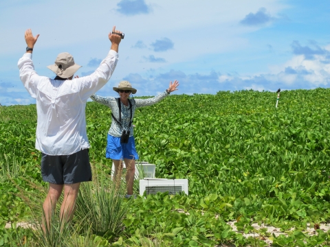 Two people in a field of green foliage with their hands raised in the air in celebration.