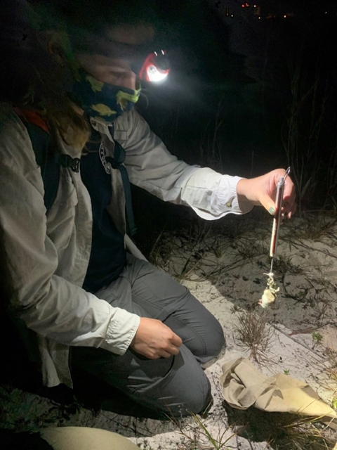 Woman on her knees wearing a headlamp is weighing a mouse.