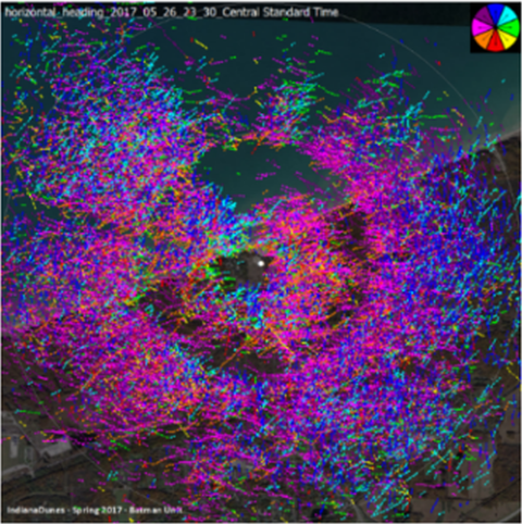 Trackplots of migrants flying north-northwest during spring migration