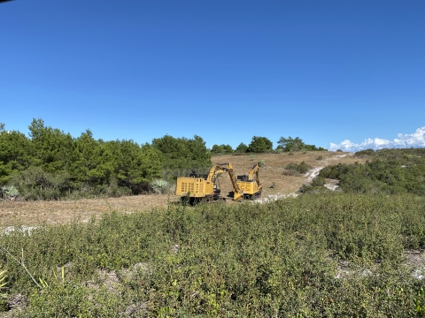 Heavy equipment at rest in a sandy scrub habitat