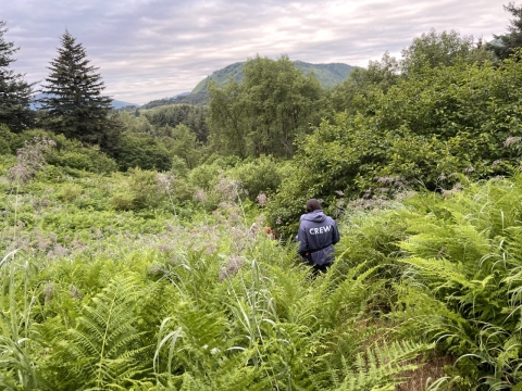 YCC crew member walking away from the camera down a thickly vegetated trail