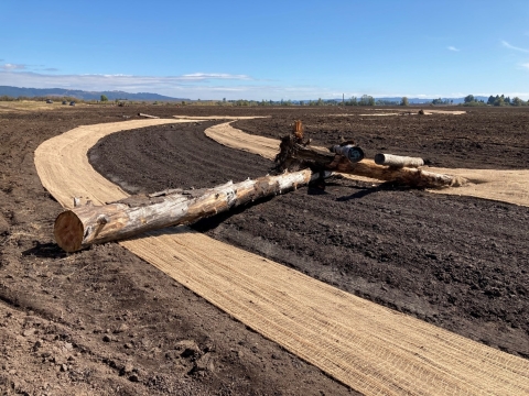 tree trunk lies across path in dirt