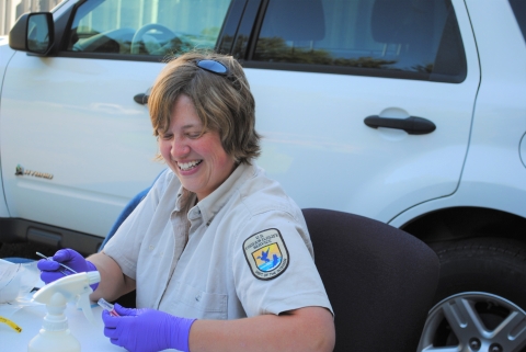 Staff wipe fish health inspection bacteria samples in vile at La Crosse Fish Health Center