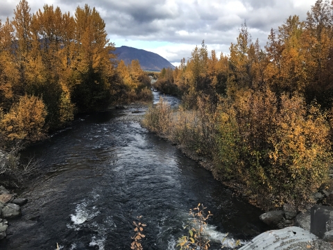 looking down stream at trees in fall colors and cloudy skies