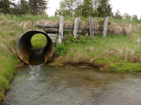 a round perched culvert pinching a creek