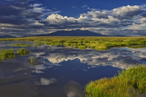 View of Wetlands & Mt. Blanca from Alamosa National Wildlife Refuge