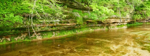 Fresh green bluff and stream