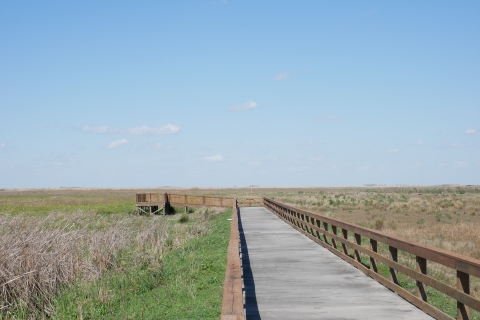 Picture of a boardwalk and observation platform extending into a marsh with emergent vegetation.