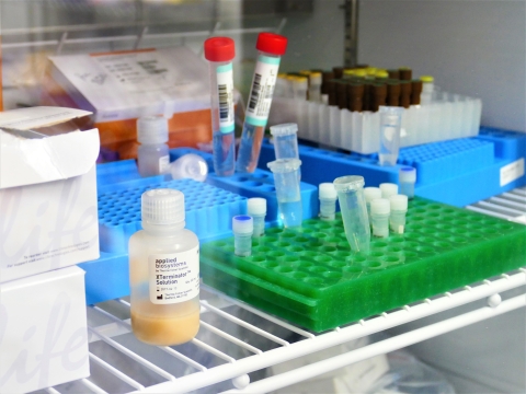 Vials and bottles in a freezer