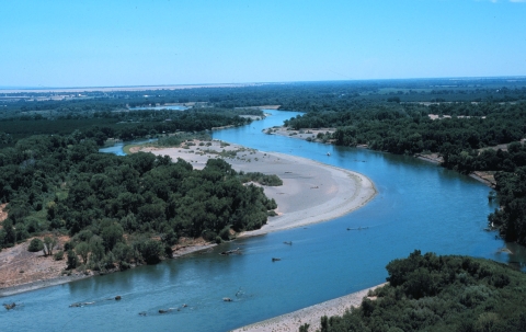 sacramento river riparian section snwrc