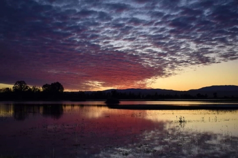 reflection of blue and pink clouds in water