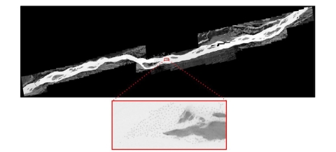 Sandhill cranes located by thermal imagery (right) near the Platte River, Nebraska (above)