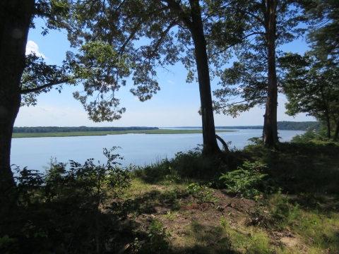  A blue river on a clear day as seen from between the silhouettes of trees. 