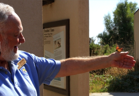 Volunteer releases a monarch that is perched on his extended arm