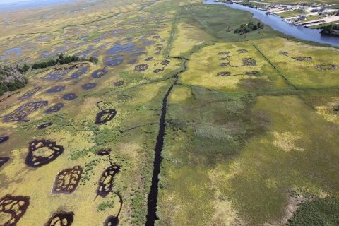 Aerial view of wetlands.