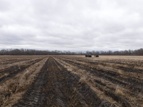 an open barren field