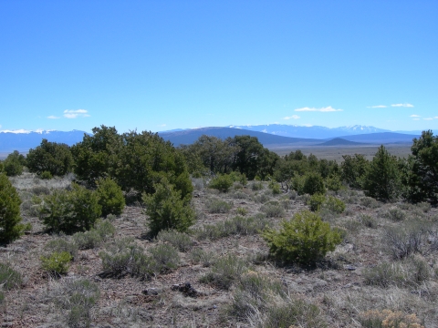 Landscape image of the southwest montane in new mexico