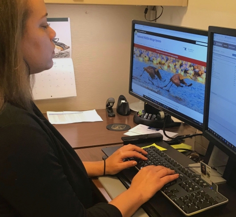 A woman sit at her desk with her hands on the keyboard and two computer monitors in front of her