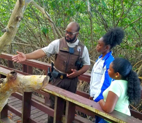 A law enforcement officer on a raised boardwalk with two visitors pointing toward a large tree branch